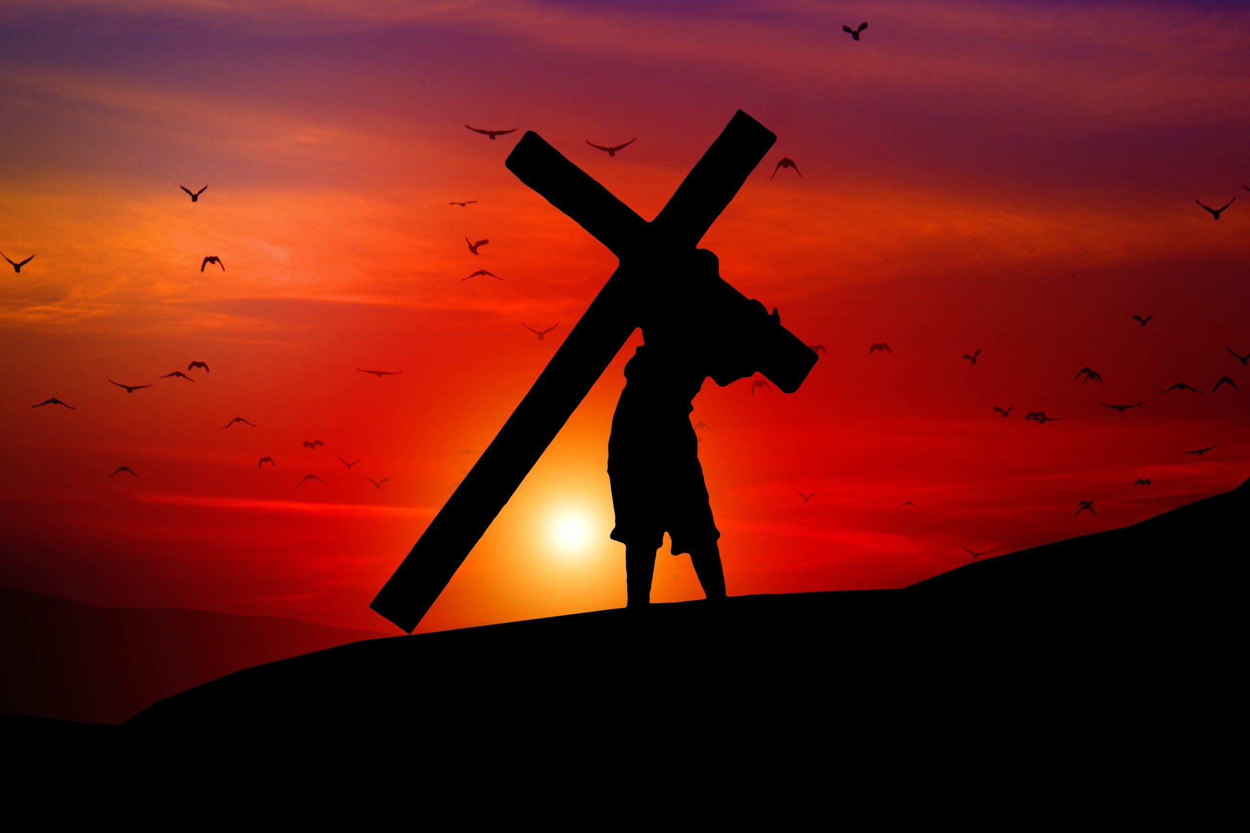 Grace's Promises — grounded in Psalm 34:18