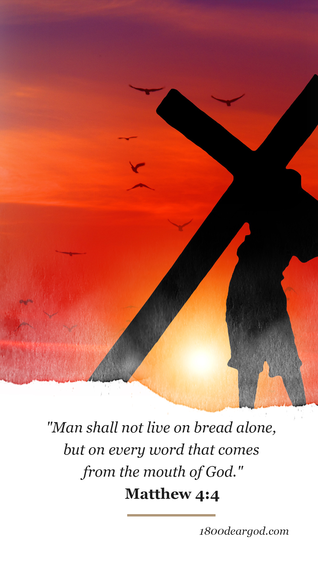 Daily devotionals — morning quiet time and Scripture for every season of life