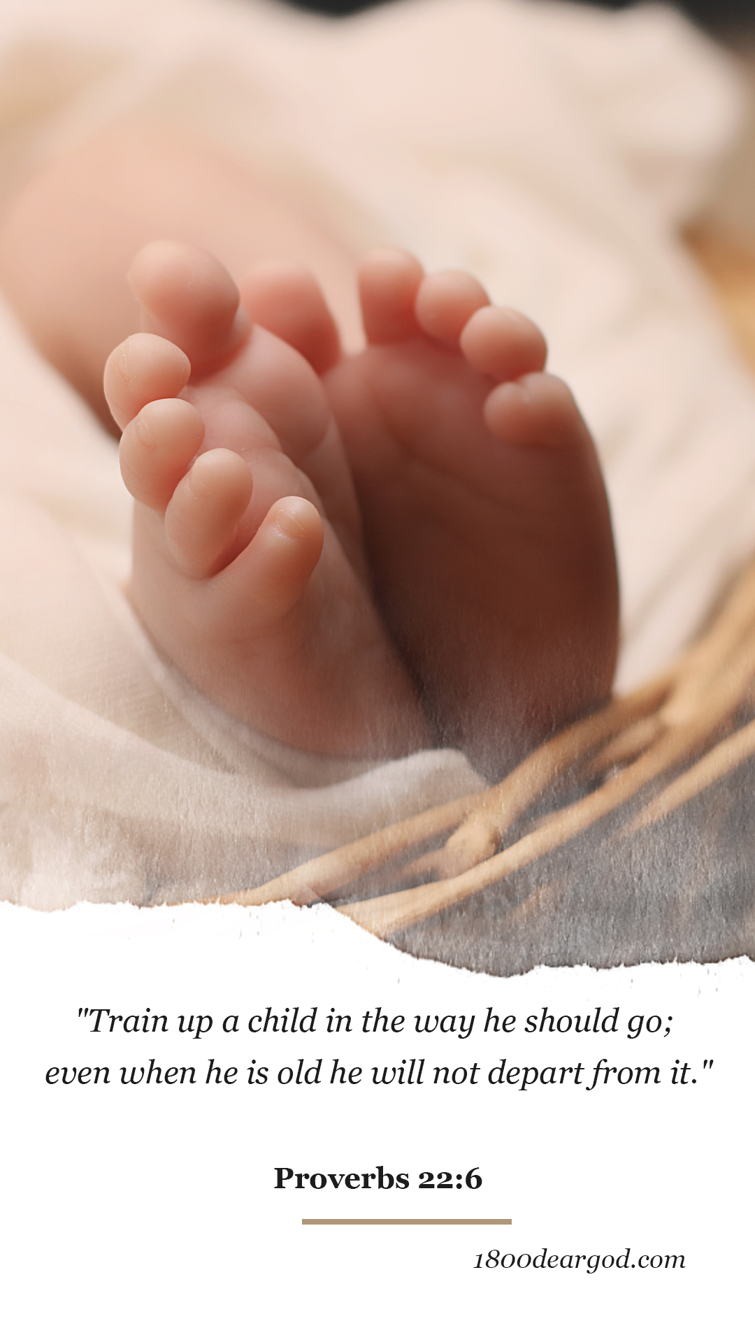 Scripture and golden light — wisdom for parents and families